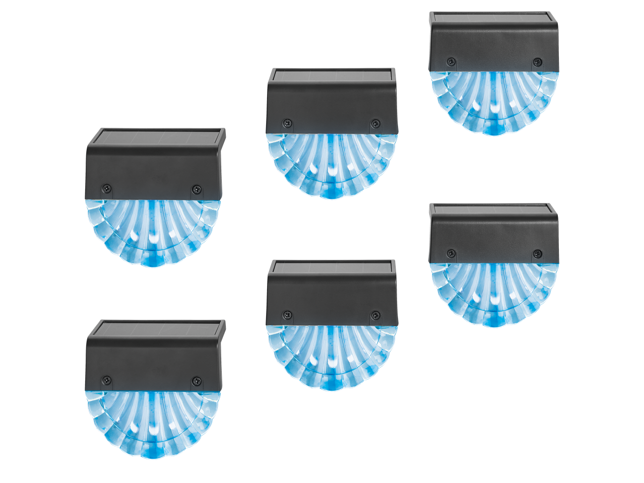 Seis luzes solares LED Livarno com caixa preta e iluminação azul em forma de concha.