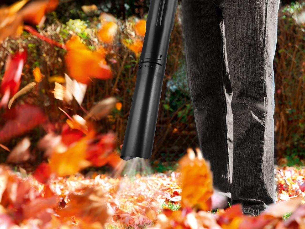 A person using a leaf blower to clear autumn leaves from a lawn.