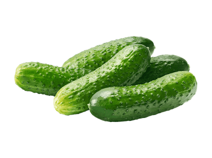 Kotimainen avomaankurkku