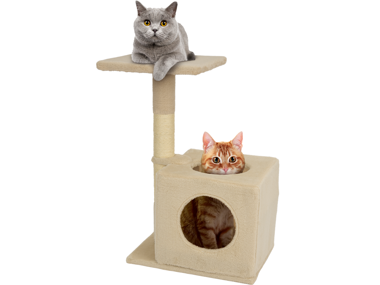 Two cats on a beige cat tree, one on top and one peeking from a cubby.
