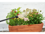A water sprayer waters a wooden planter box with various plants and peppers.