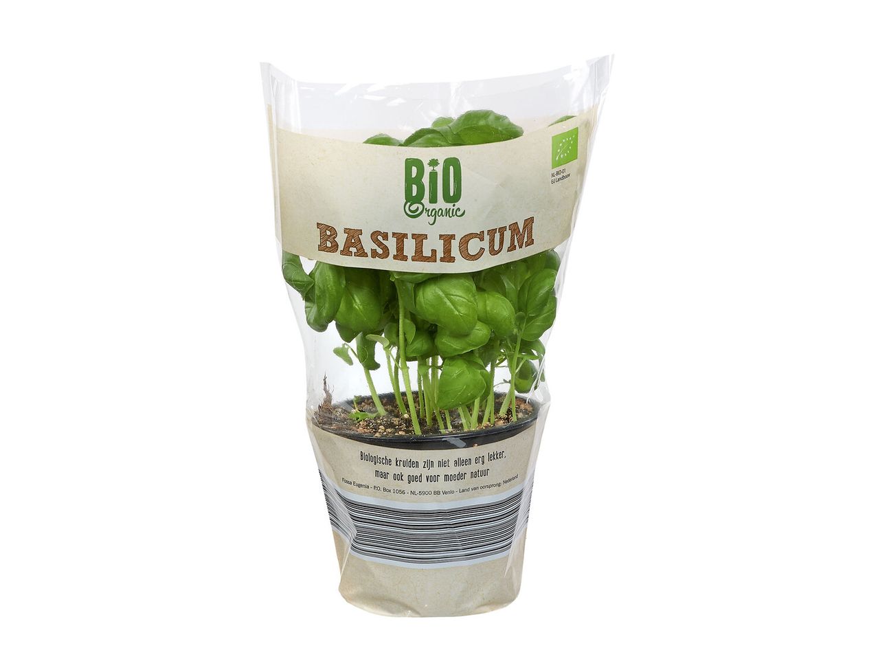 Ga naar volledige schermweergave: Bio basilicum - afbeelding 1
