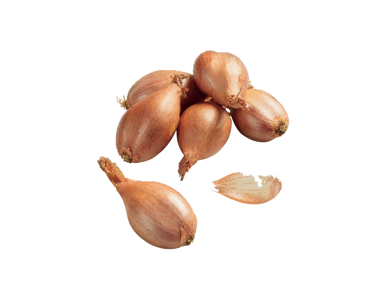 Šalotinių svogūnų krūva su viena atskirta luobele.