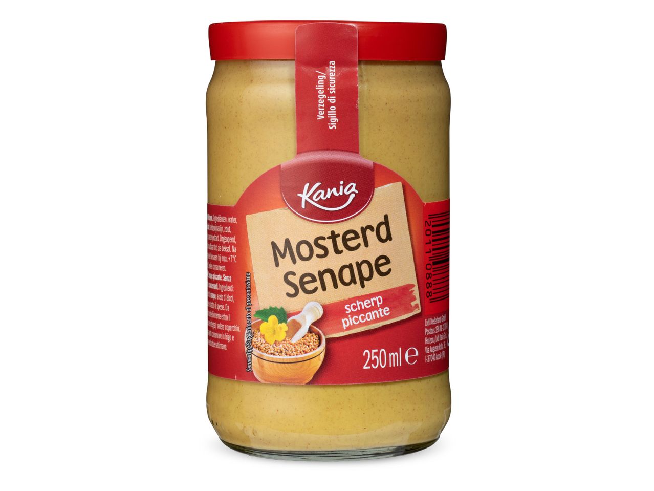 Kanig pikante mosterd in glazen pot.