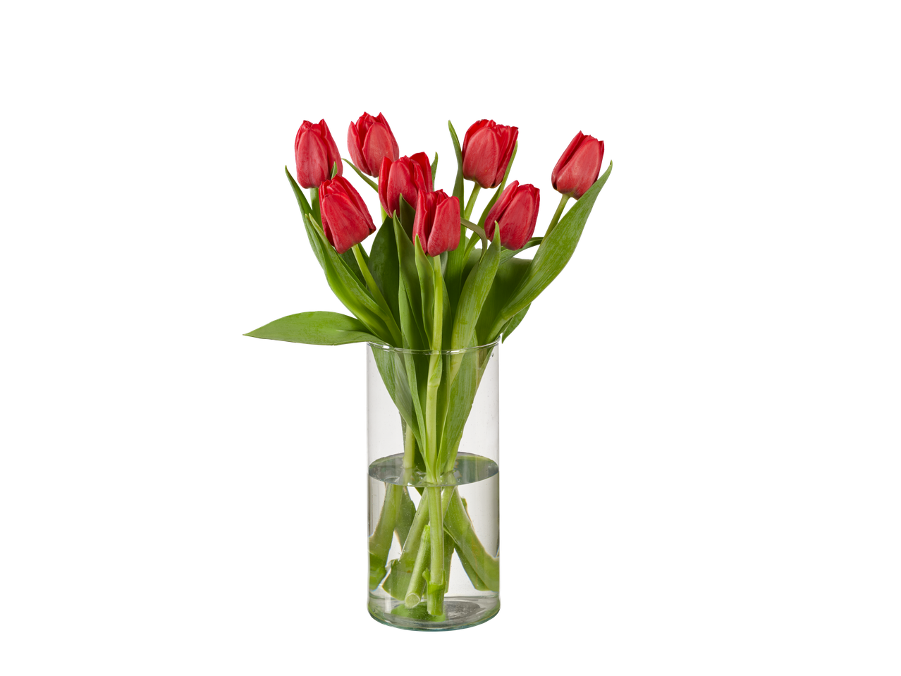 Lalele roșii într-o vază de sticlă.