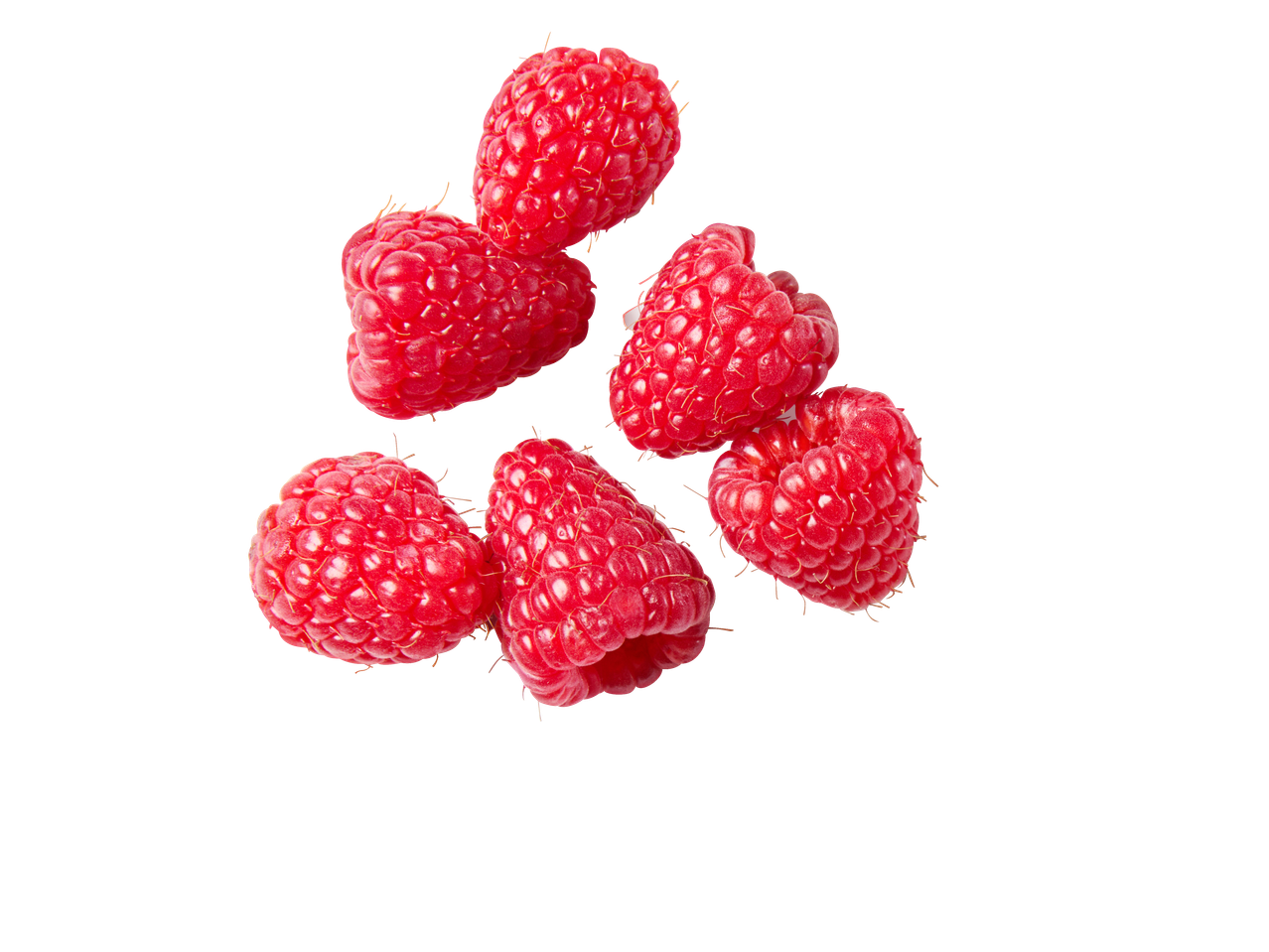 Frambozen