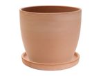 Terracotta plant pot with a matching saucer