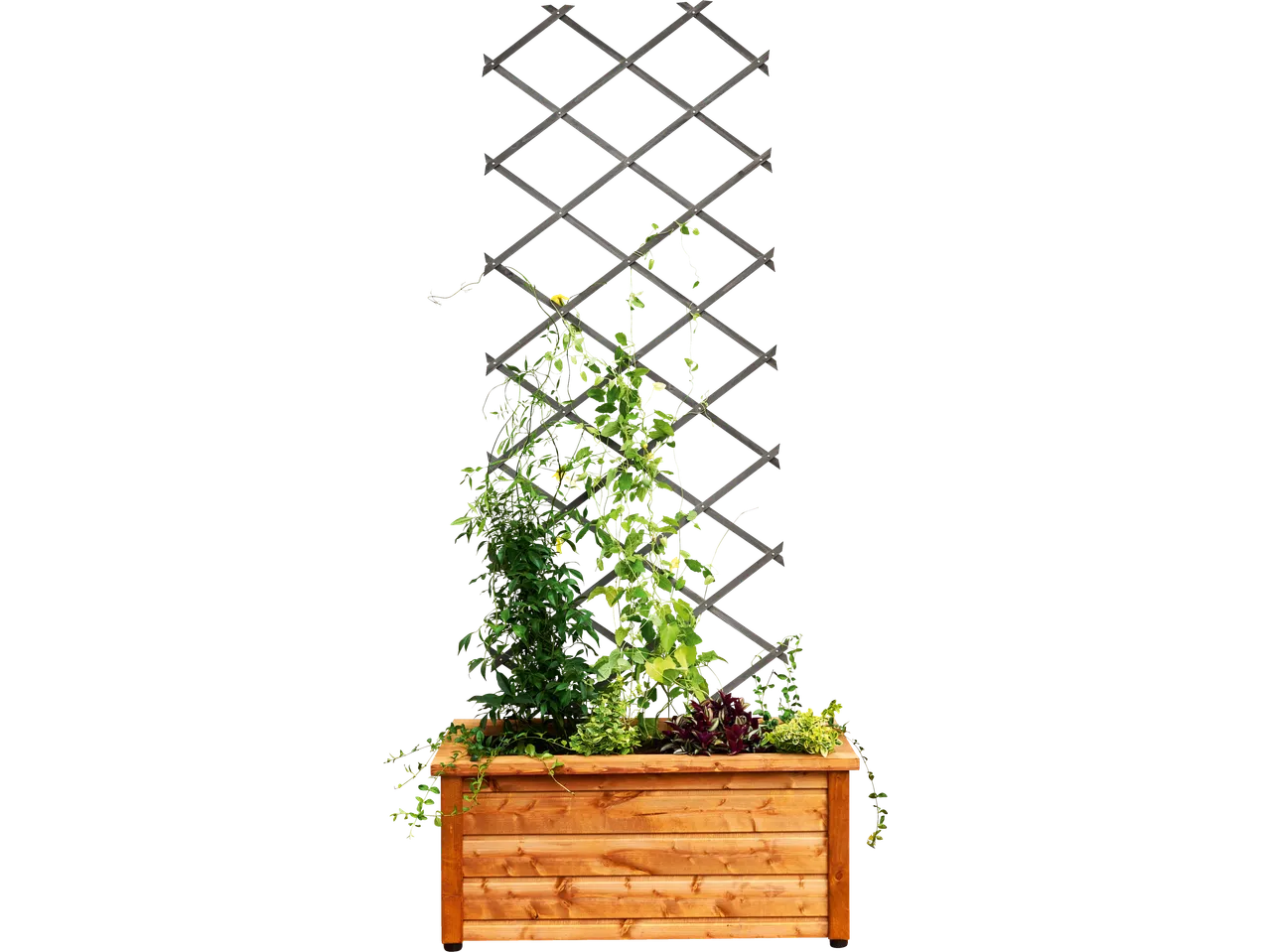Floreira de madeira com treliça e várias plantas verdes