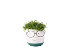 Vaso com formato de rosto sorridente com óculos e planta verde.