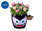 Pink flowers in a black vampire-themed pot with a bat wing handle, labeled 'Indoor'