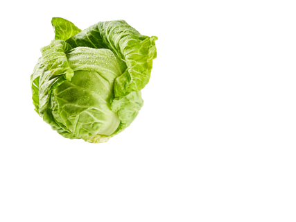 Varză albă nouă