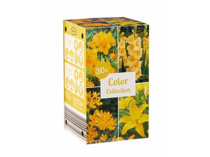 Őszi virághagyma-mix*