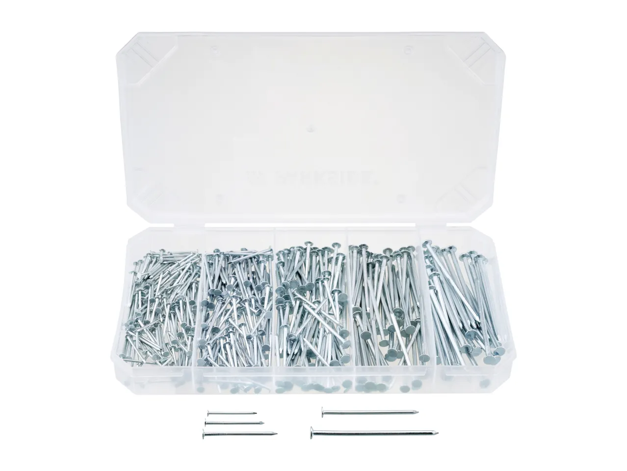A clear plastic box filled with various sizes of nails, with some nails laid out below.