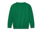 Back view of a plain green long-sleeved sweatshirt.