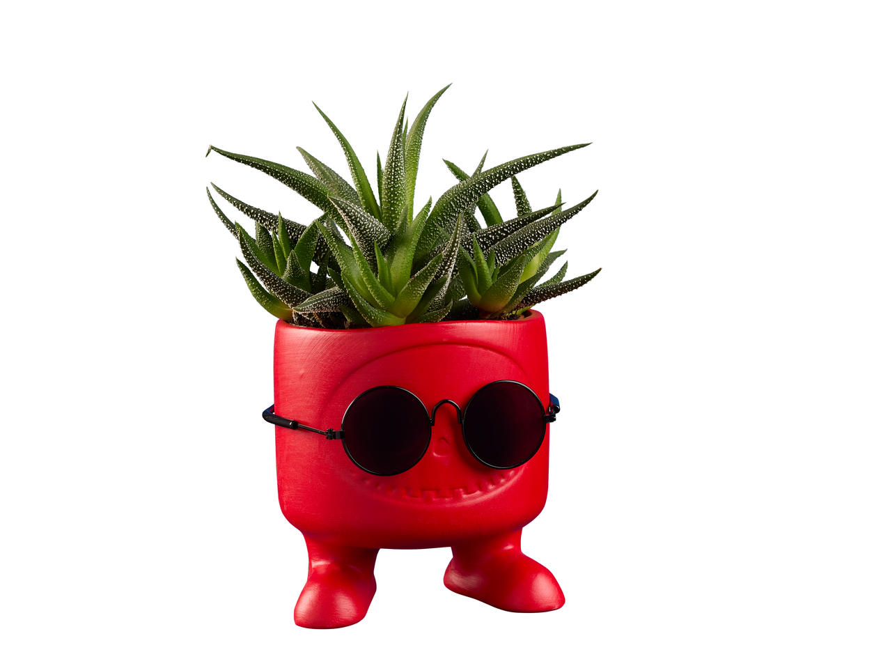Een Haworthia succulent in een rode, cartoonachtige pot met een zonnebril.
