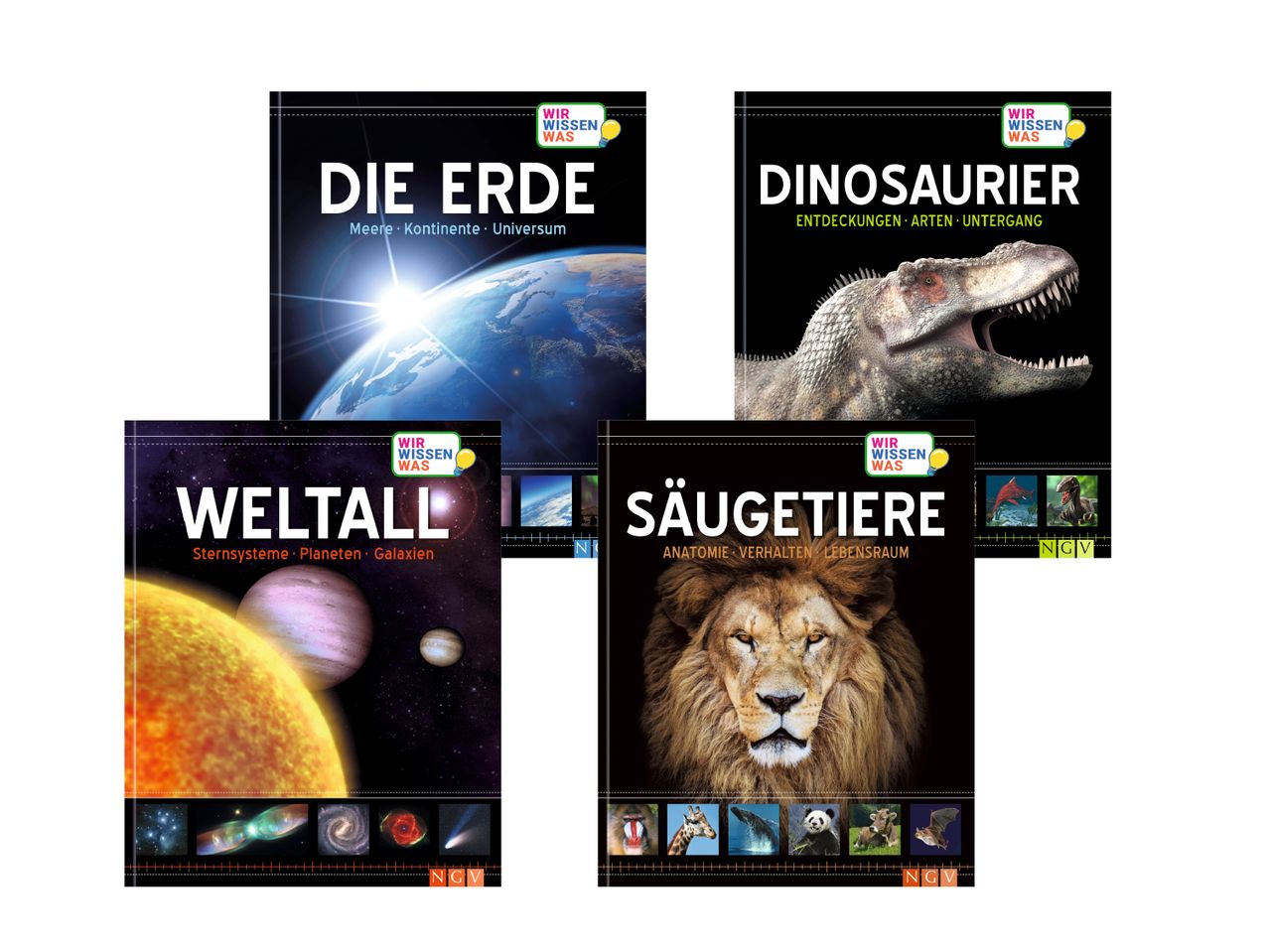 NGV Bücher: Dinosaurier, Erde, Weltraum und Säugetiere.