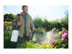 Man spraying plants in a garden with a garden sprayer.