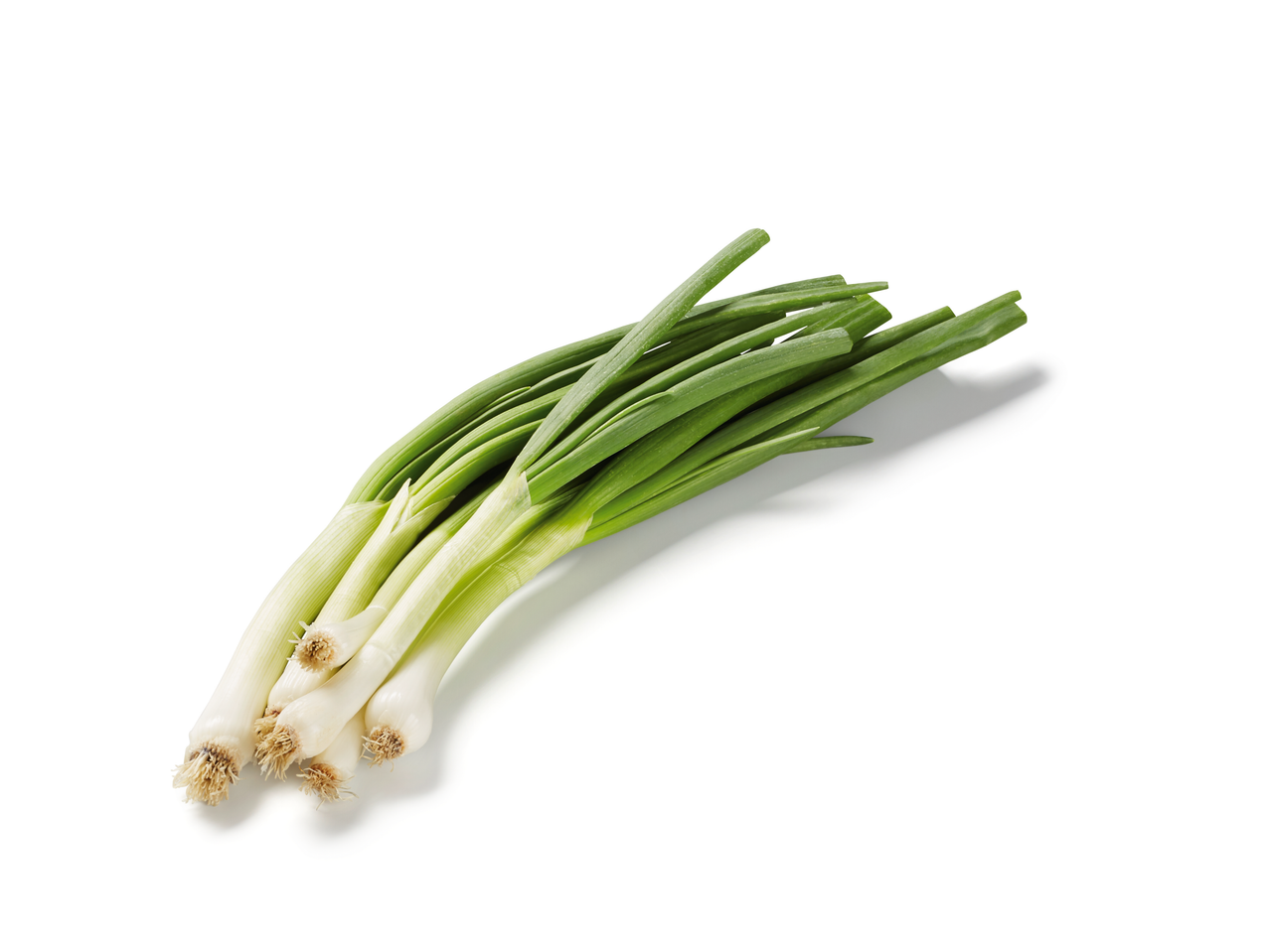A bundle of fresh green scallions with white bulbs and roots.