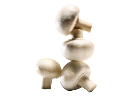 Csiperkegomba