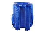 Back view of a blue cooler backpack with padded straps and mesh pockets.