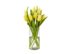 Tulipa amarela em vaso de vidro.