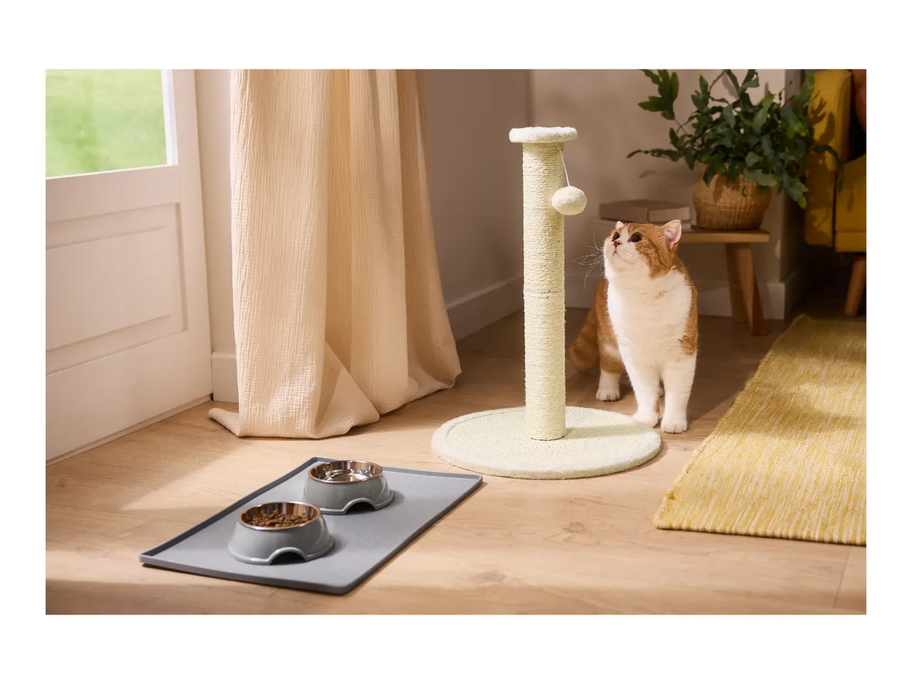 Ginger and white cat looking up at a scratching post with food and water bowls nearby.