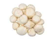 Ciuperci Champignon albe