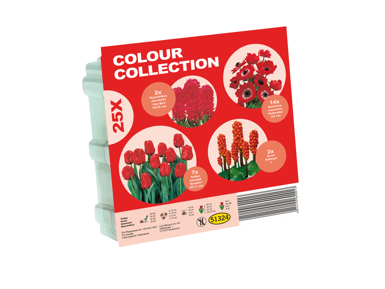 Paket lukovica Colour Collection sa crvenim lalama, zumbulima, anemonama i arumima.