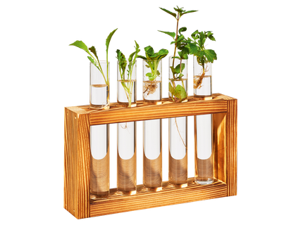 Növényszaporító állomás