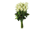 Buquê de rosas brancas