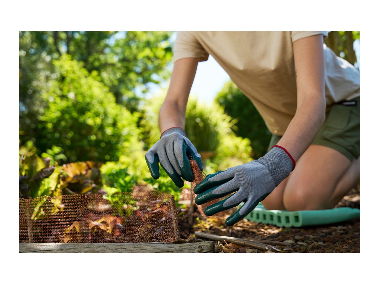 Person in gardening gloves installing copper mesh around plants in a garden bed.