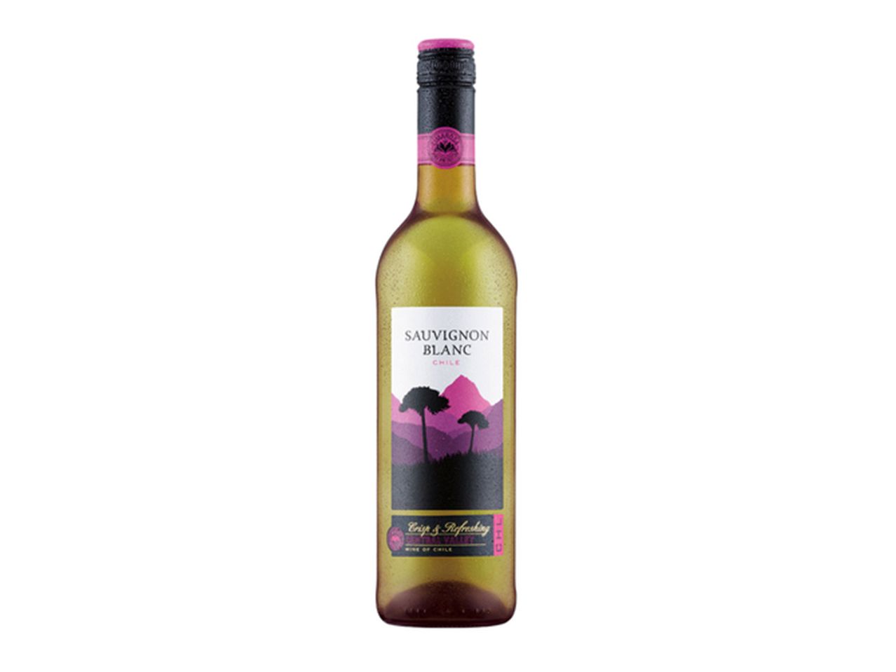 Chilean Sauvignon Blanc wine bottle, Central Valley.