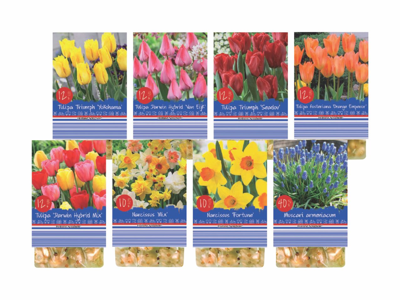 Various flower bulb packages, including tulips, narcissus, and muscari, from Holland Selection.