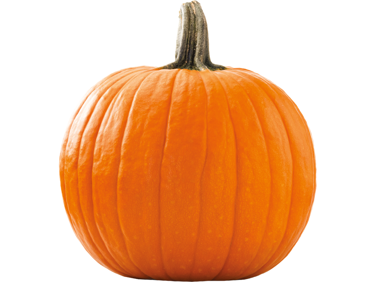 En orange pumpa med en grönbrun stjälk, isolerad på en svart bakgrund.