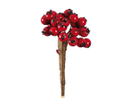 Decorative branch with red berries and black accents.