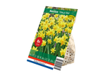Verpakking van 'Tête à Tête' narcisbollen van Holland Selection.
