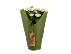 White roses in green wrapping.