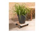 Potted plant on a wooden plant caddy with wheels, against a stone wall and wooden bench.
