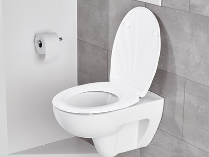 WC-ülőke