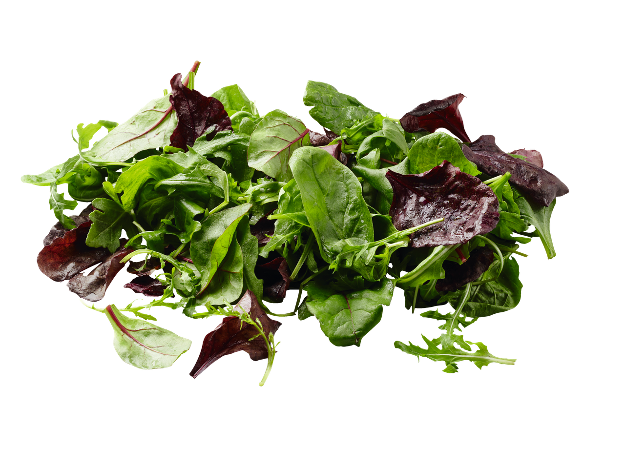 Sega värsket salatit lehti.