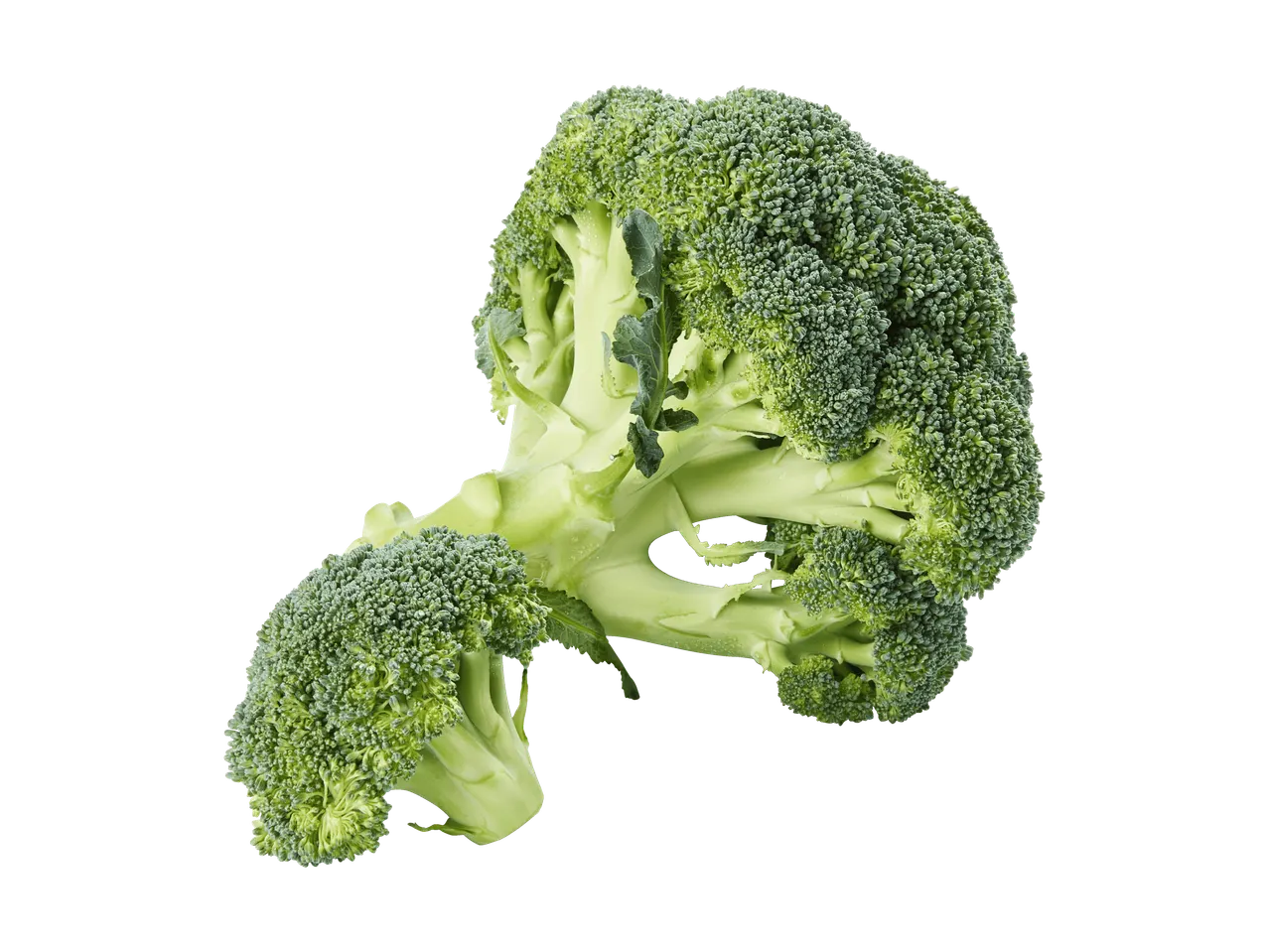 Brocoli frais avec de petits fleurons et des tiges sur fond noir.