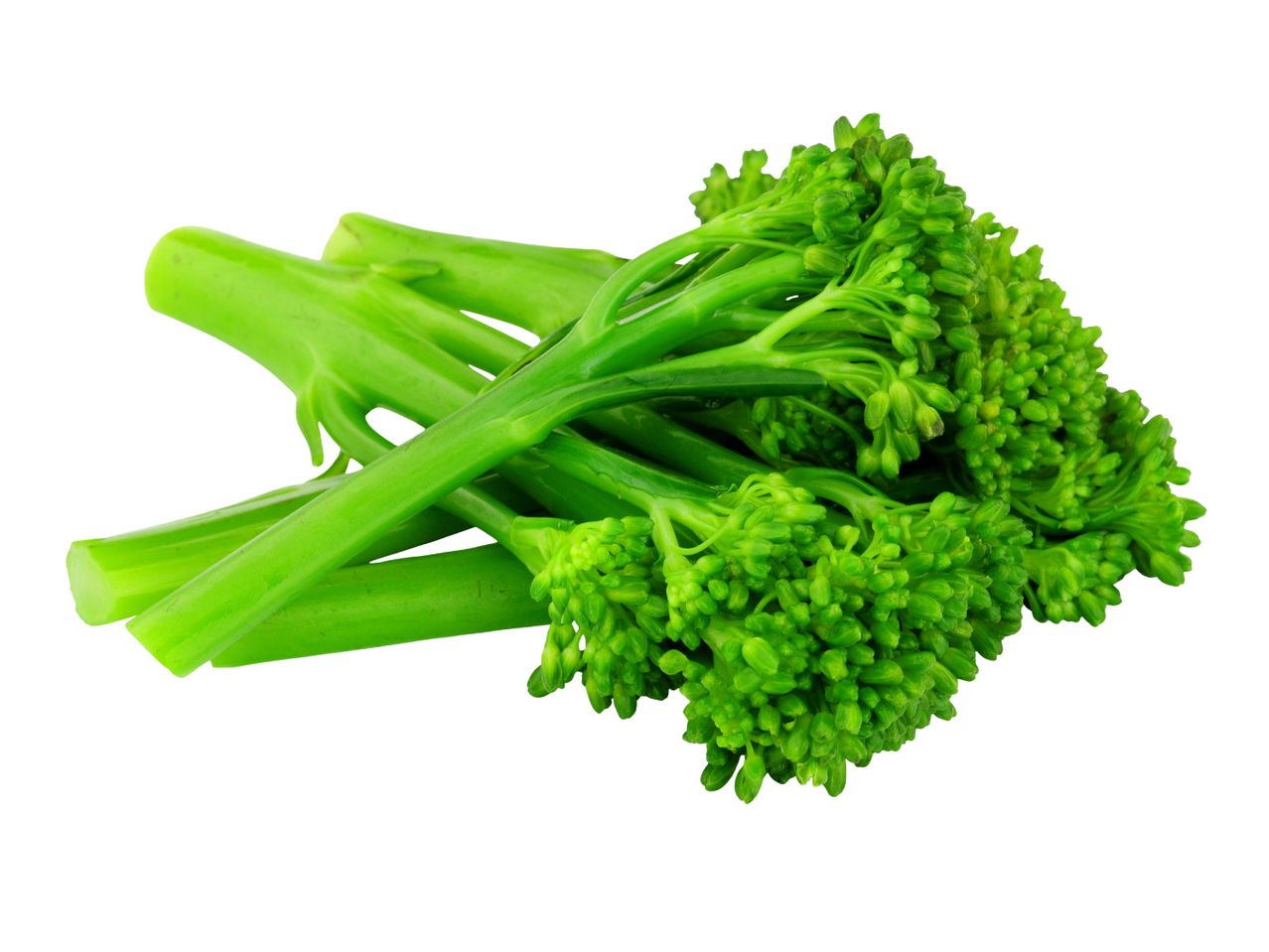 Fresh, vibrant green tenderstem broccoli spears on a white background.