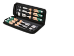 Jogo de formões Parkside em estojo.