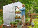 Woman rolling up the door of a walk-in greenhouse filled with potted plants and herbs.