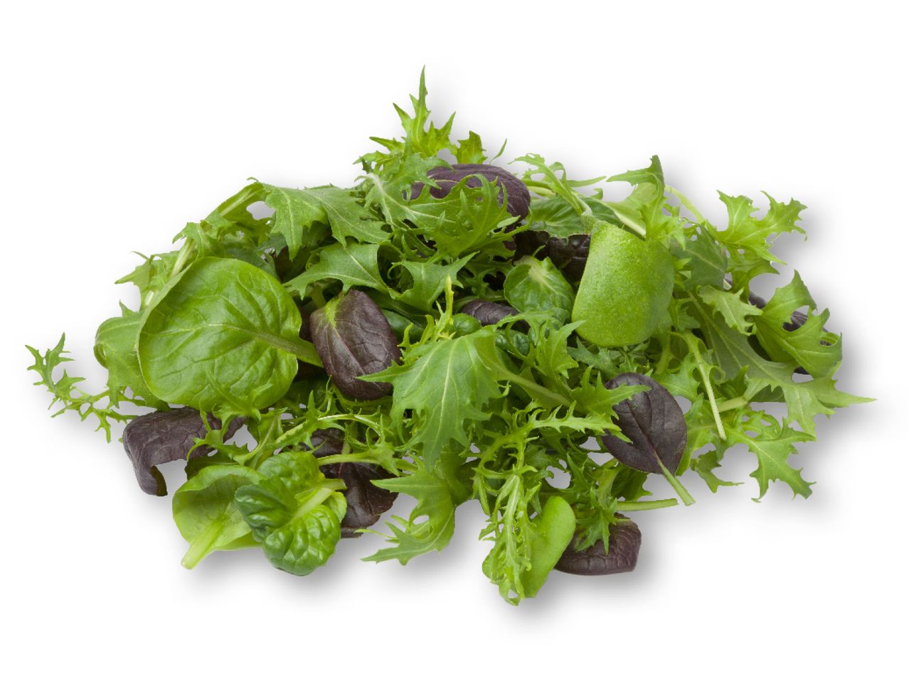 Salad mix: lettuce, arugula, and chicory.