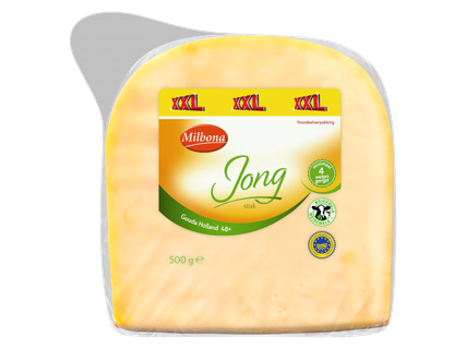 Stuk Gouda jonge kaas