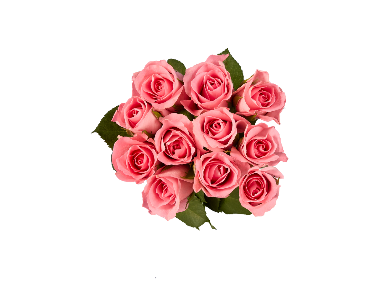 Buquê de rosas cor-de-rosa em fundo preto.