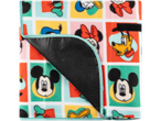 Disney tegelaskujudega fliispleed ja veekindel alus.
