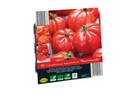 Mini Greenhouse with Lycopersicon esculentum 'Marmande' tomato seeds.