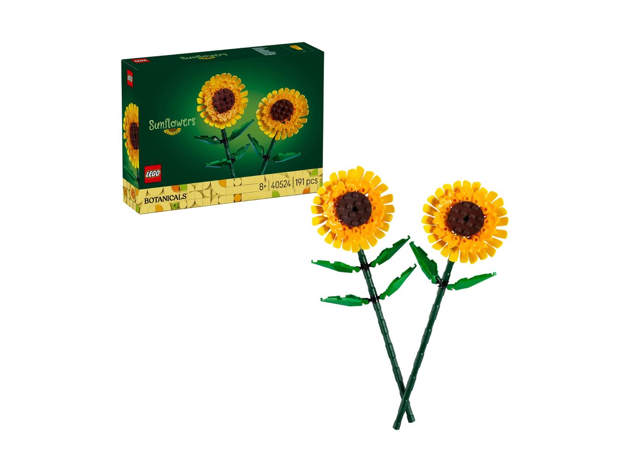 A box of sunflower building blocks and two assembled sunflower models.